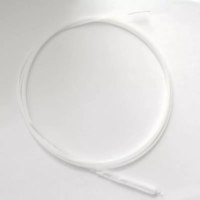 Duodenal endoskopisk borste